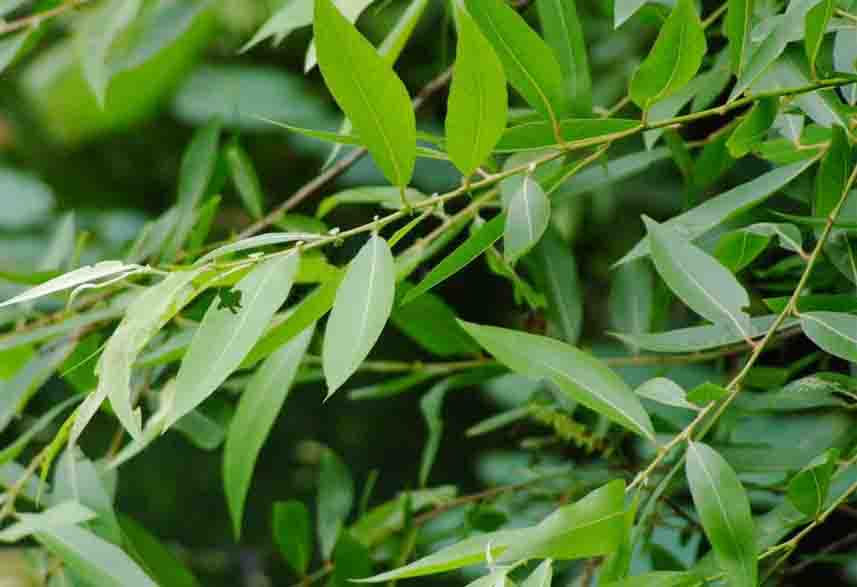 aec379310a55b319abd80c8543a98226cffc1718.jpg aec379310a55b319abd80c8543a98226cffc1718.jpg