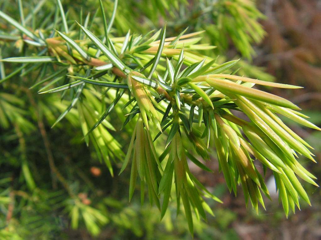 1c950a7b02087bf45a00b119f2d3572c10dfcf56.jpg 1c950a7b02087bf45a00b119f2d3572c10dfcf56.jpg