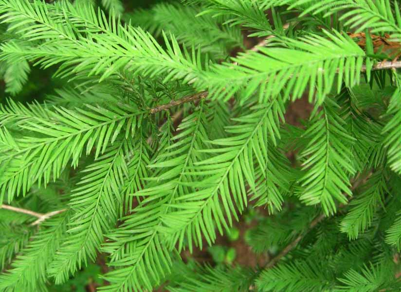 622762d0f703918f7efc584f513d269759eec402.jpg 622762d0f703918f7efc584f513d269759eec402.jpg