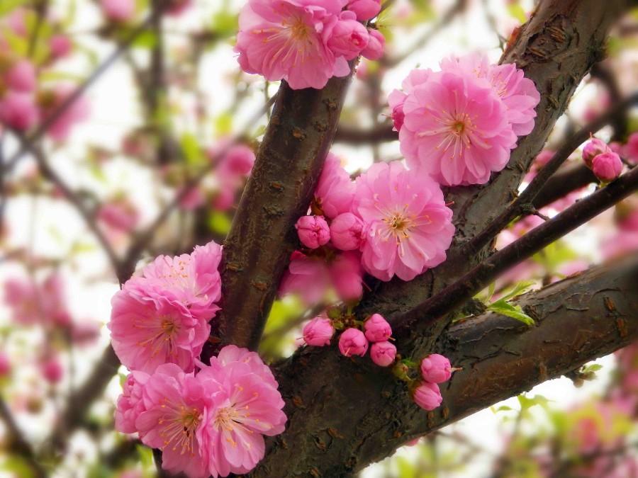 bf096b63f6246b60f7b7b83de5f81a4c510fa23a.jpg bf096b63f6246b60f7b7b83de5f81a4c510fa23a.jpg