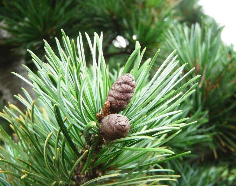 50da81cb39dbb6fdd5b49a3a0324ab18972b373a.jpg 50da81cb39dbb6fdd5b49a3a0324ab18972b373a.jpg