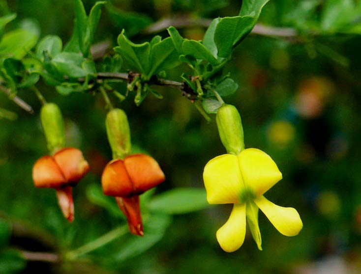 962bd40735fae6cd5b785d920fb30f2443a70f70.jpg 962bd40735fae6cd5b785d920fb30f2443a70f70.jpg