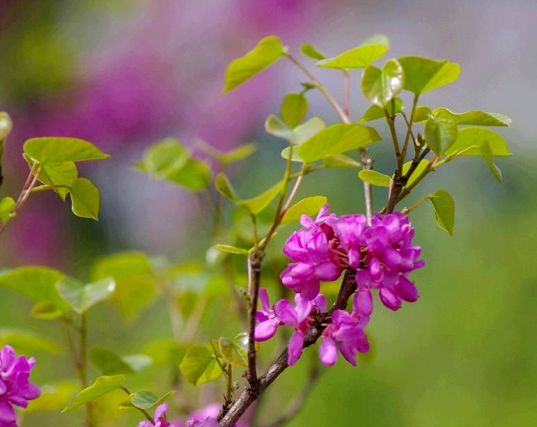 6d81800a19d8bc3e8b8b426a808ba61ea9d3458a.jpg 6d81800a19d8bc3e8b8b426a808ba61ea9d3458a.jpg