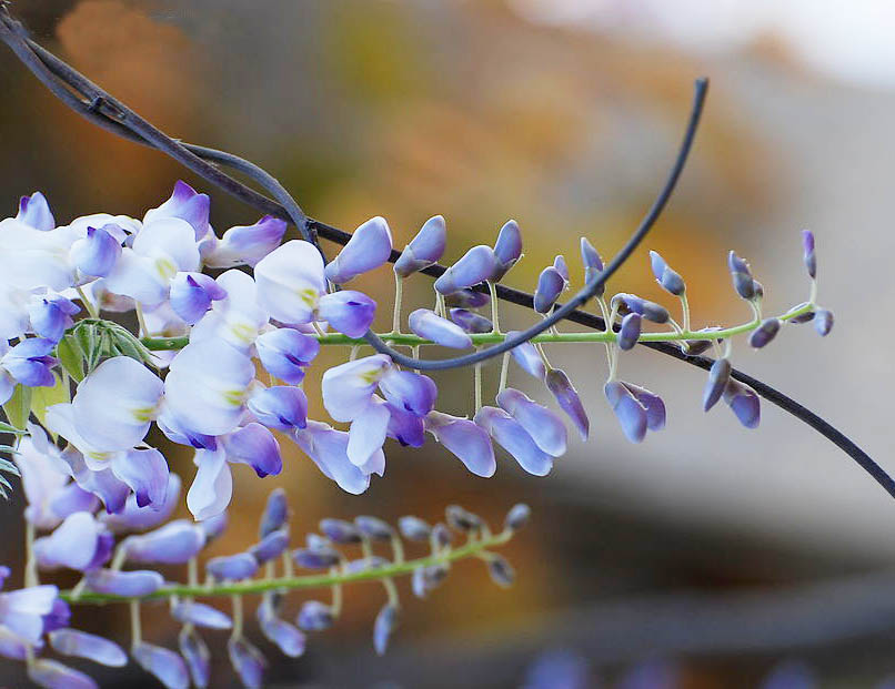 838ba61ea8d3fd1f0633fbae304e251f95ca5f6f.jpg 838ba61ea8d3fd1f0633fbae304e251f95ca5f6f.jpg