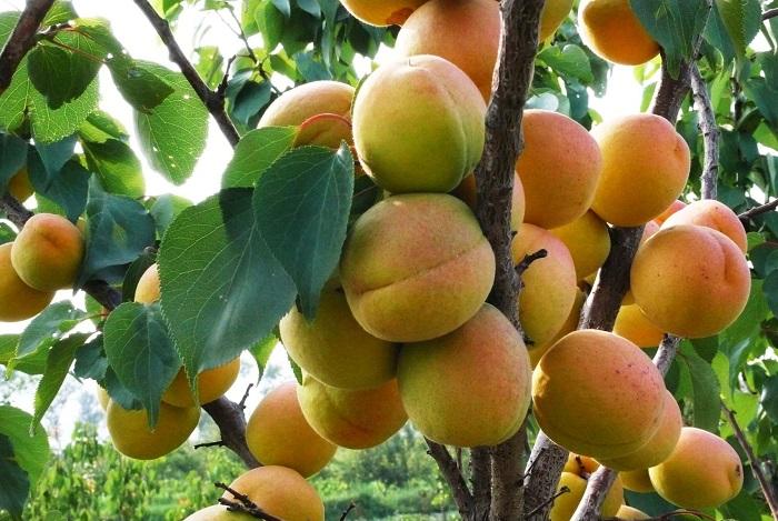 src=http___www.dt.gov.cn_dtygx_ygdt_201803_1ec0a1f608234c87b42d4687b9c79f95_images_b6959388cb1a4765860c01fe26f64b6d.jpg&refer=http___www.dt.gov.jpg src=http___www.dt.gov.cn_dtygx_ygdt_201803_1ec0a1f608234c87b42d4687b9c79f95_images_b6959388cb1a4765860c01fe26f64b6d.jpg&refer=http___www.dt.gov.jpg