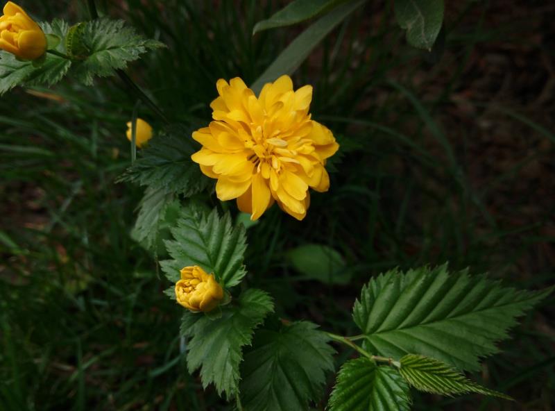 微信圖片_20210105094832.jpg 微信圖片_20210105094832.jpg