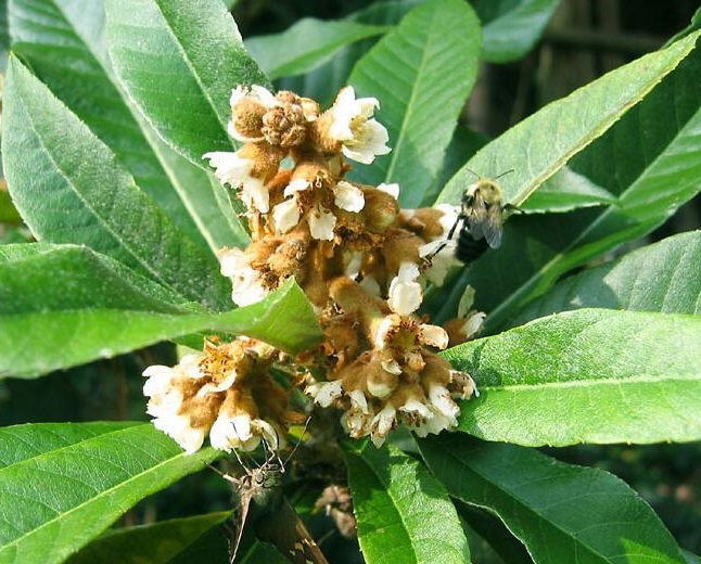 37d12f2eb9389b504fc24fab547cf2dde71191efc0ba.jpg 37d12f2eb9389b504fc24fab547cf2dde71191efc0ba.jpg