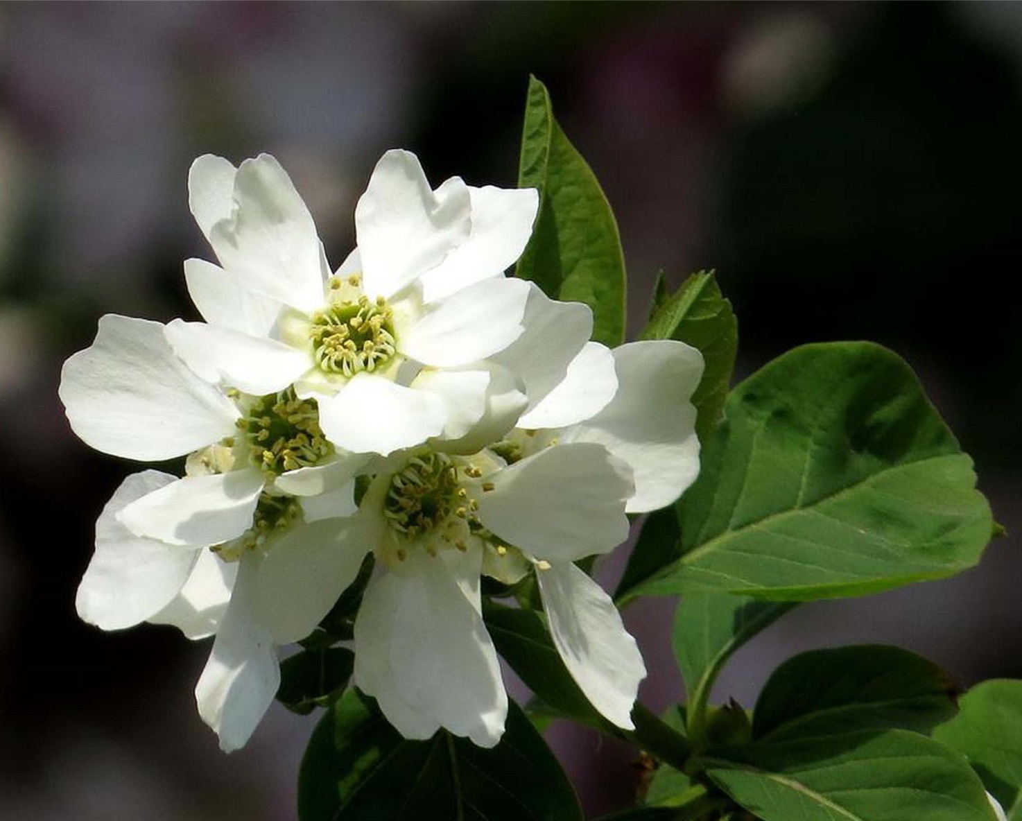 6f061d950a7b0208f3c586ae6cd9f2d3572cc875.jpg 6f061d950a7b0208f3c586ae6cd9f2d3572cc875.jpg