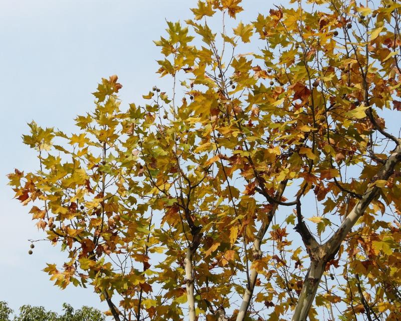 微信圖片_20210105111000.jpg 微信圖片_20210105111000.jpg