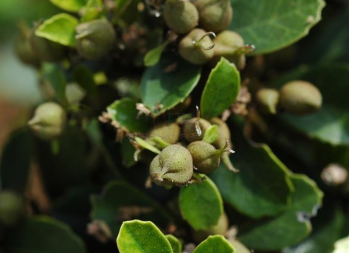 03087bf40ad162d963e9c3f911dfa9ec8b13cdd4.jpg 03087bf40ad162d963e9c3f911dfa9ec8b13cdd4.jpg