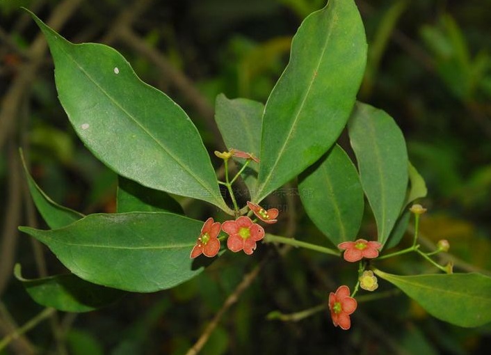 7c1ed21b0ef41bd524d6916351da81cb38db3d9b.jpg 7c1ed21b0ef41bd524d6916351da81cb38db3d9b.jpg