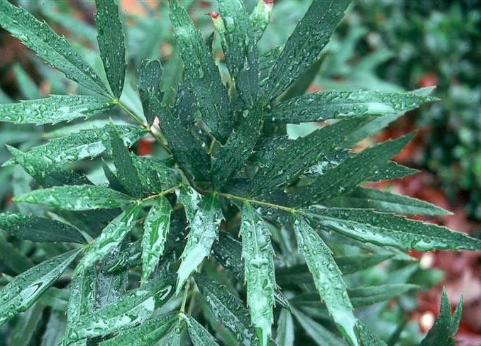 e4dde71190ef76c6a7ef7fab5c5eeafaaf51f3dec950.jpg e4dde71190ef76c6a7ef7fab5c5eeafaaf51f3dec950.jpg