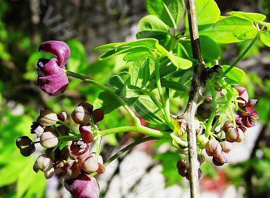 960a304e251f95ca2e7711b3ca177f3e67095231.jpg 960a304e251f95ca2e7711b3ca177f3e67095231.jpg