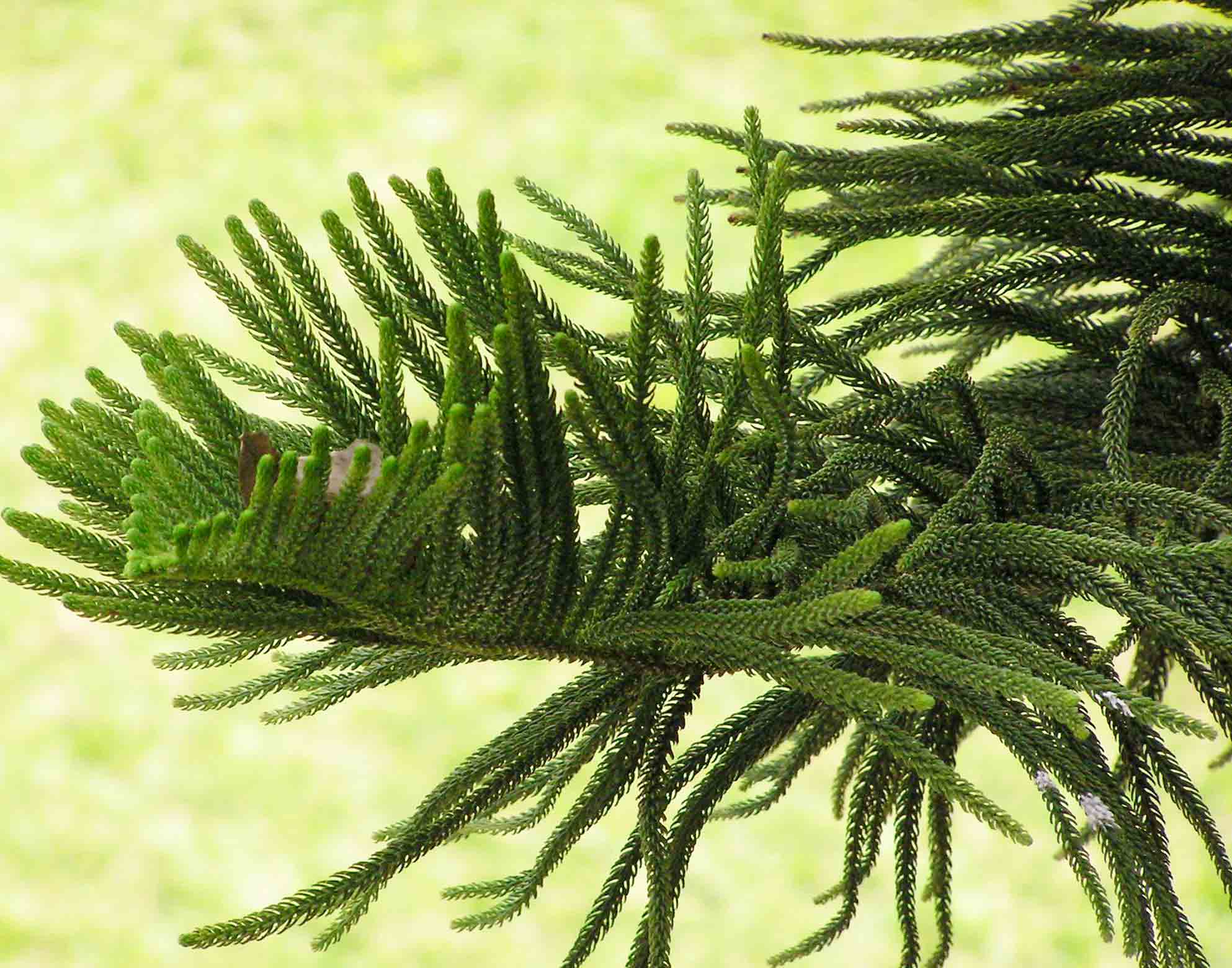 9f2f070828381f30906b2be3a7014c086e06f00e.jpg 9f2f070828381f30906b2be3a7014c086e06f00e.jpg