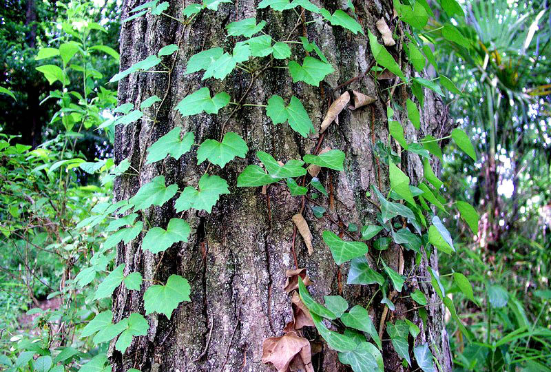 爬山??1.jpg 爬山??1.jpg