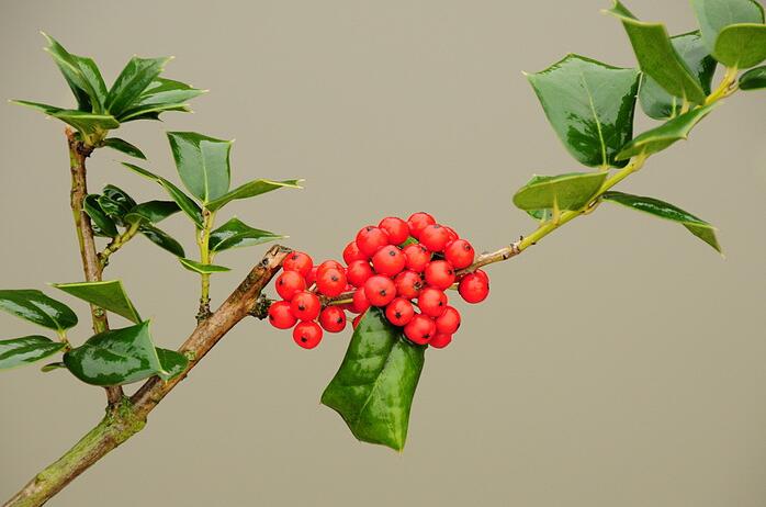 QQ截圖20221229145928.jpg QQ截圖20221229145928.jpg