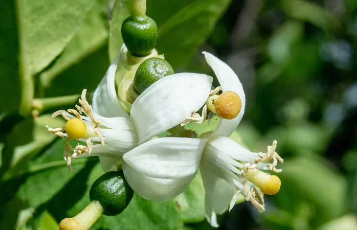 代代??1.jpg 代代??1.jpg